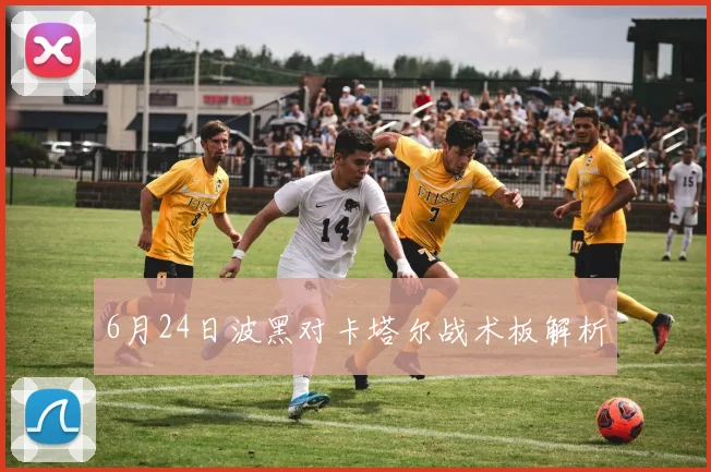 6月24日波黑对卡塔尔战术板解析