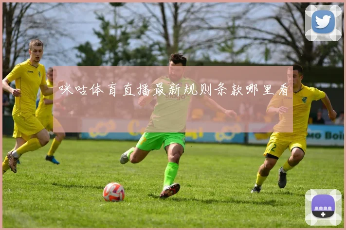 咪咕体育直播最新规则条款哪里看